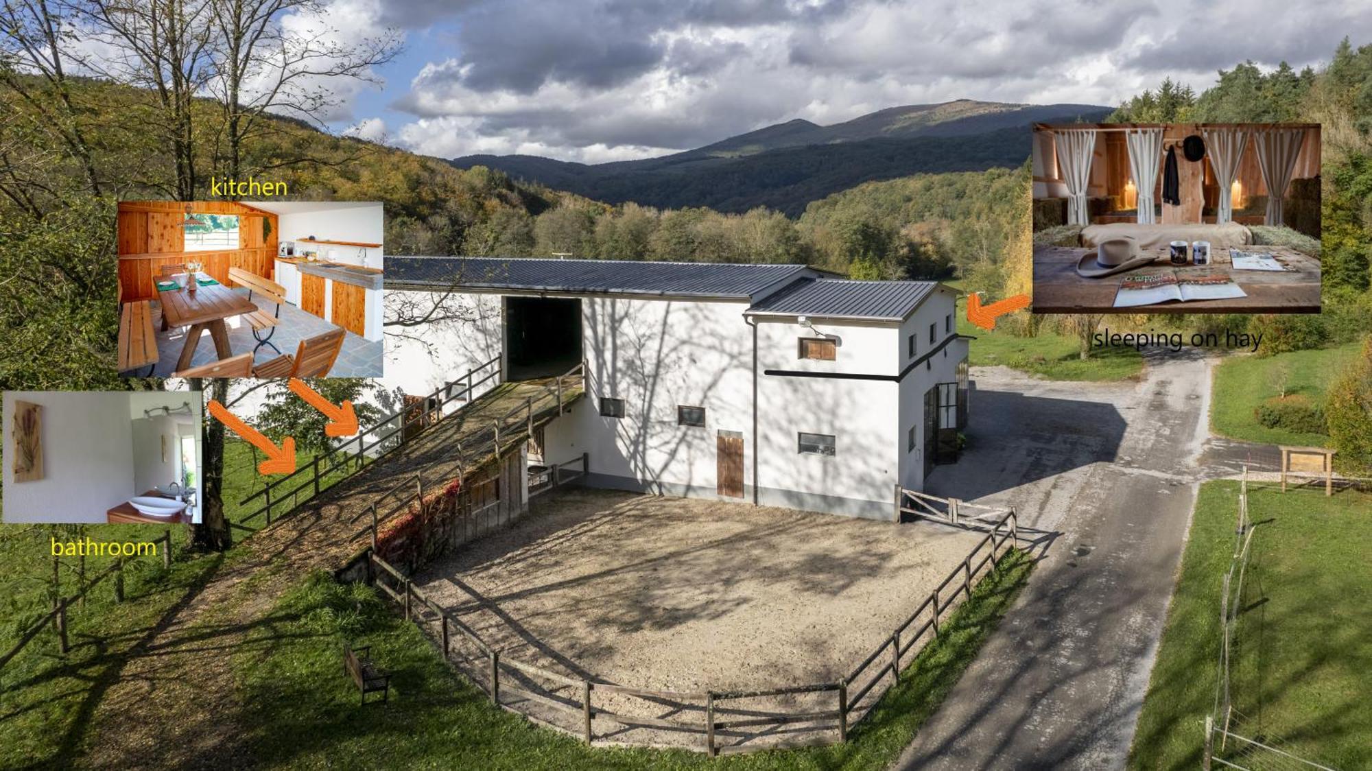 Villa Farm Volk Suhorje Exterior foto