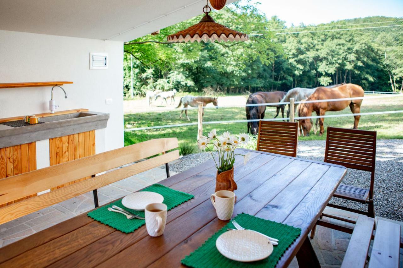 Villa Farm Volk Suhorje Exterior foto